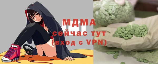 гидра Вязьма